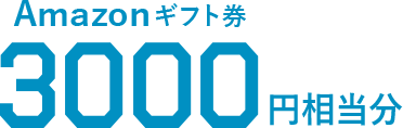 Amazonギフト券 3000円分